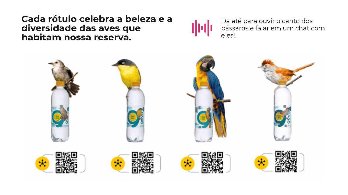 Case Goyá - resultados do projeto - inventta